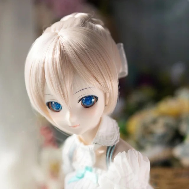 bjd head