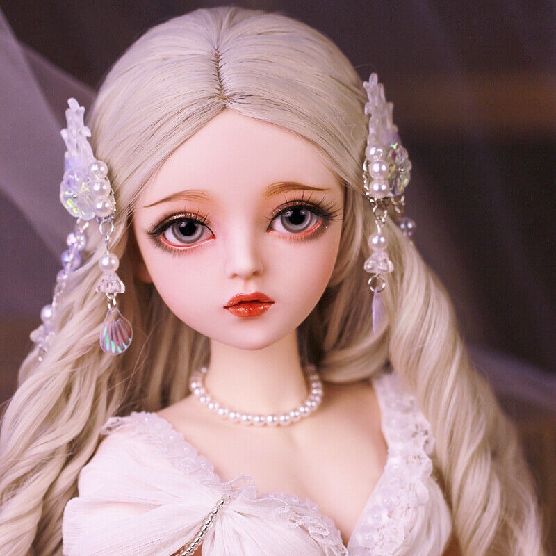 bjd companies