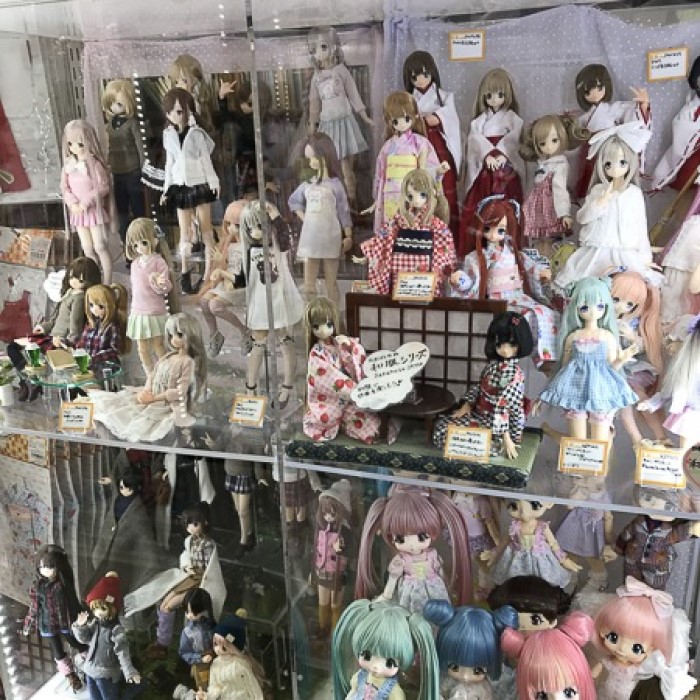 bjd doll shop